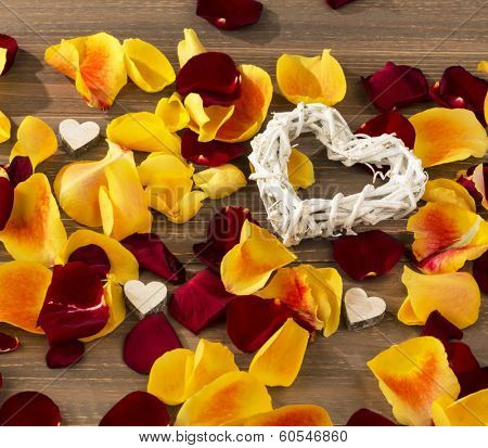 roses as a gift and surprise to a party. symbolic photo for birthday, mother's day, love, valentine's day