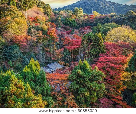 View from Kiyomizudera Temple Hall in Autumn