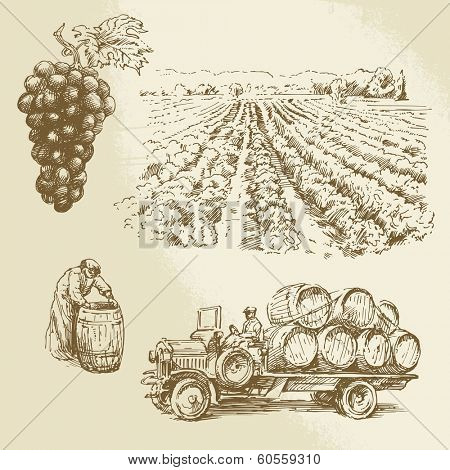 vineyard, harvest, farm - hand drawn collection