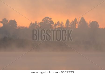 Misty Landscape