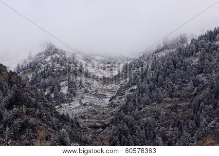 Fog Covered Mountain