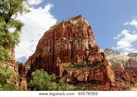 Red Rock Cliffs