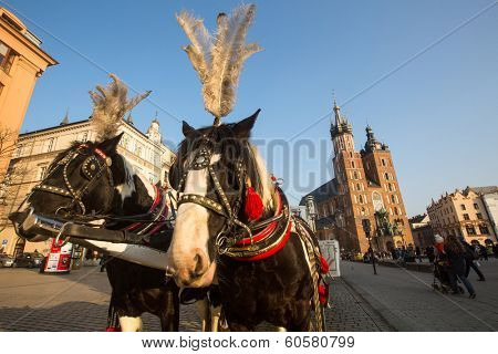 KRAKOW, POLAND - FEB 26, 2014: Carriages at Main Market Square. It dates to the 13th century, and at roughly 40,000 m it is the largest medieval town square in Europe.