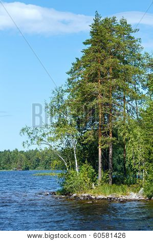 Lake Ruotsalainen Summer View (finland).