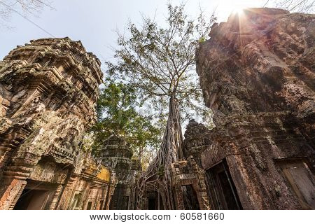 Ta Prohm Temple At Angkor Wat, Siem Reap, Cambodia.