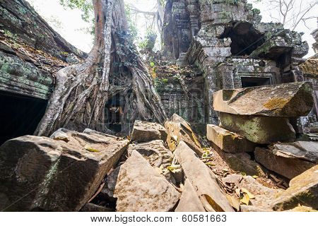 Ta Prohm Temple At Angkor Wat, Siem Reap, Cambodia.