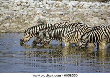 Okaukuejo Resort e sua fabulosa Waterhole