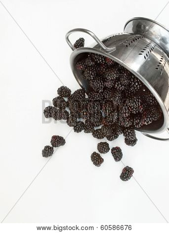 Fresh Organic Blackberries