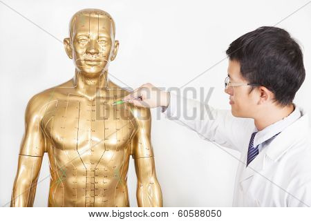 Chinese Medicine Doctor Teaches Acupoint On Human Model