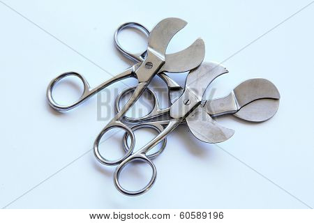 Stainless Scissors