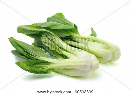 Pok Choi Vegetable Isolated On White Background