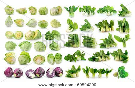 Bok Choy (chinese Cabbage) , Cabbage  Isolated On White Background