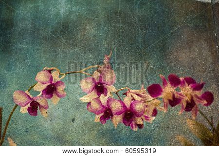 Hawaiian orchid with a texture overlay for a vintage look.