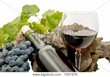 Vino tinto