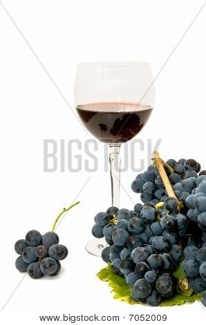 Vino tinto