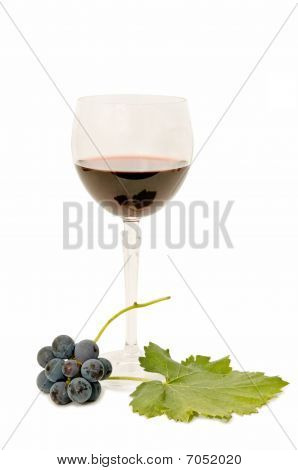 Vino tinto