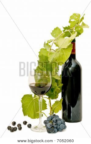 Vino tinto