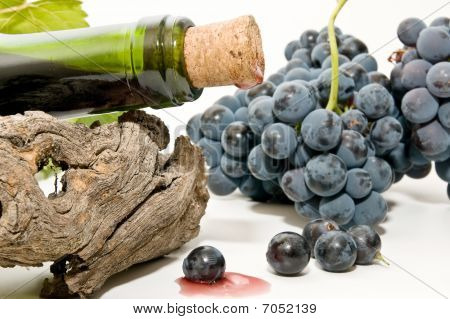 Vino tinto
