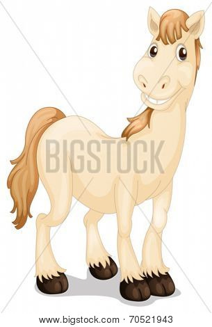 Illustration of a cute horse on a white background
