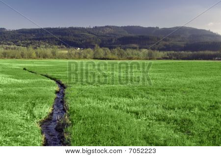 Smal Stream