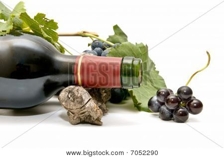 Vino tinto