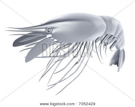 Gamberi d'argento