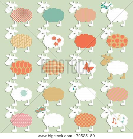 set of different sheeps