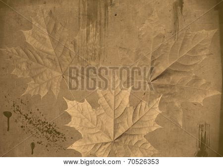 Maple Leaves On Grunge Background