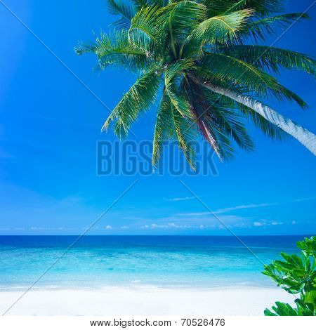 Tropical beach, Lang Tengah Island Malaysia.