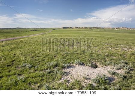 fox den in Pawnee National Grassland in northern Colorado