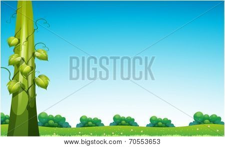 Illustration of a view with beanstalk
