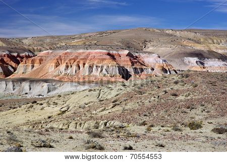 Landscape in Patagonia
