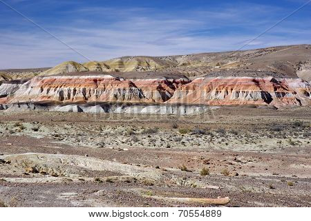 Landscape in Patagonia