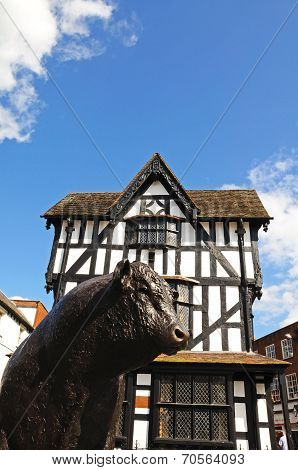 The High House and bull, Hereford.