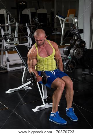 Dumbbell Bicep Curls