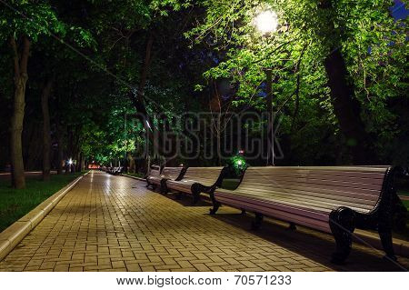 Benches And Pavement In The Light