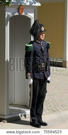Palace Guard, Oslo