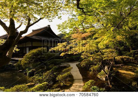 A wide variety of trees and greenery  in the Japanese garden of Ginkakuji Temple.