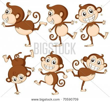 Illustration of monkey set on white