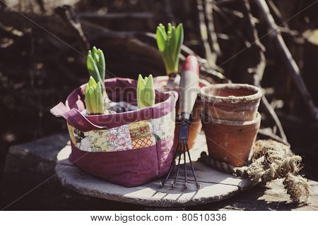 spring flower bulbs in handmade colorful quilt bag in sunny spring garden