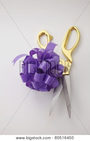 opening ceremony concept purple ribbon bows and gold scissors