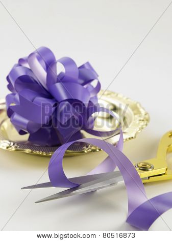 cutting purple ribbon -open ceremony concept