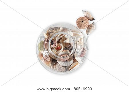 Shells