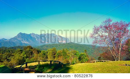 doi luang chiang dao mountain at chiangmai thailand