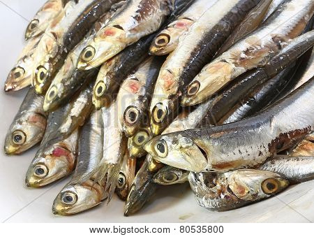 Raw Anchovies Just Fish For Sale In Fish Market