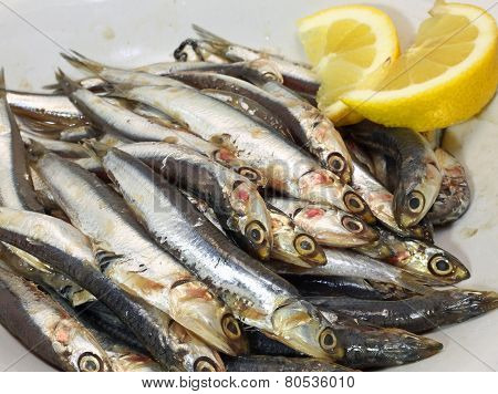 Dish With Fresh Little Sardines Just Fished And Lemon