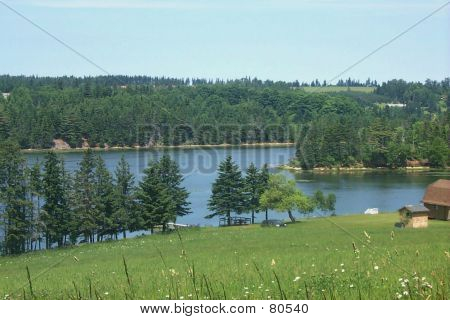 Trout River