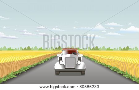 Wheat Field