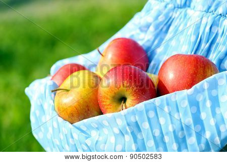 Red apple in hemline of female clothing, closeup