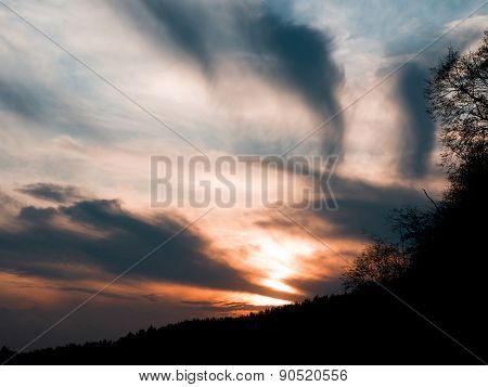 Sunset over the forest